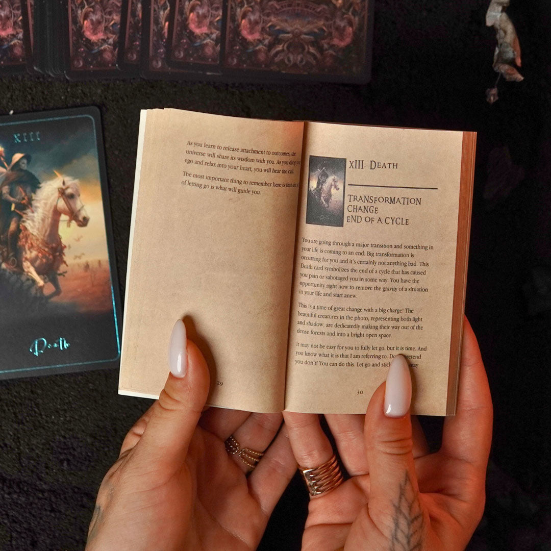 Banner image Banner image