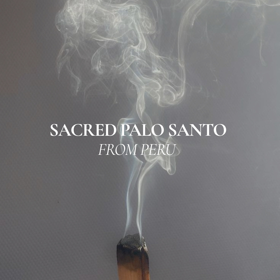 Organic Sacred Palo Santo | Bundle x3 Sticks Organic Sacred Palo Santo | Bundle x3 Sticks