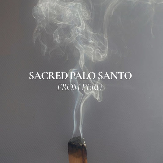 Organic Sacred Palo Santo | Bundle x3 Sticks