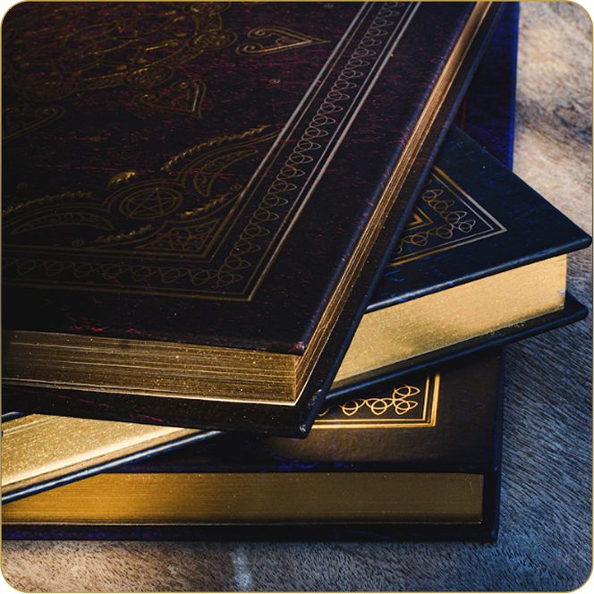 Banner image Banner image