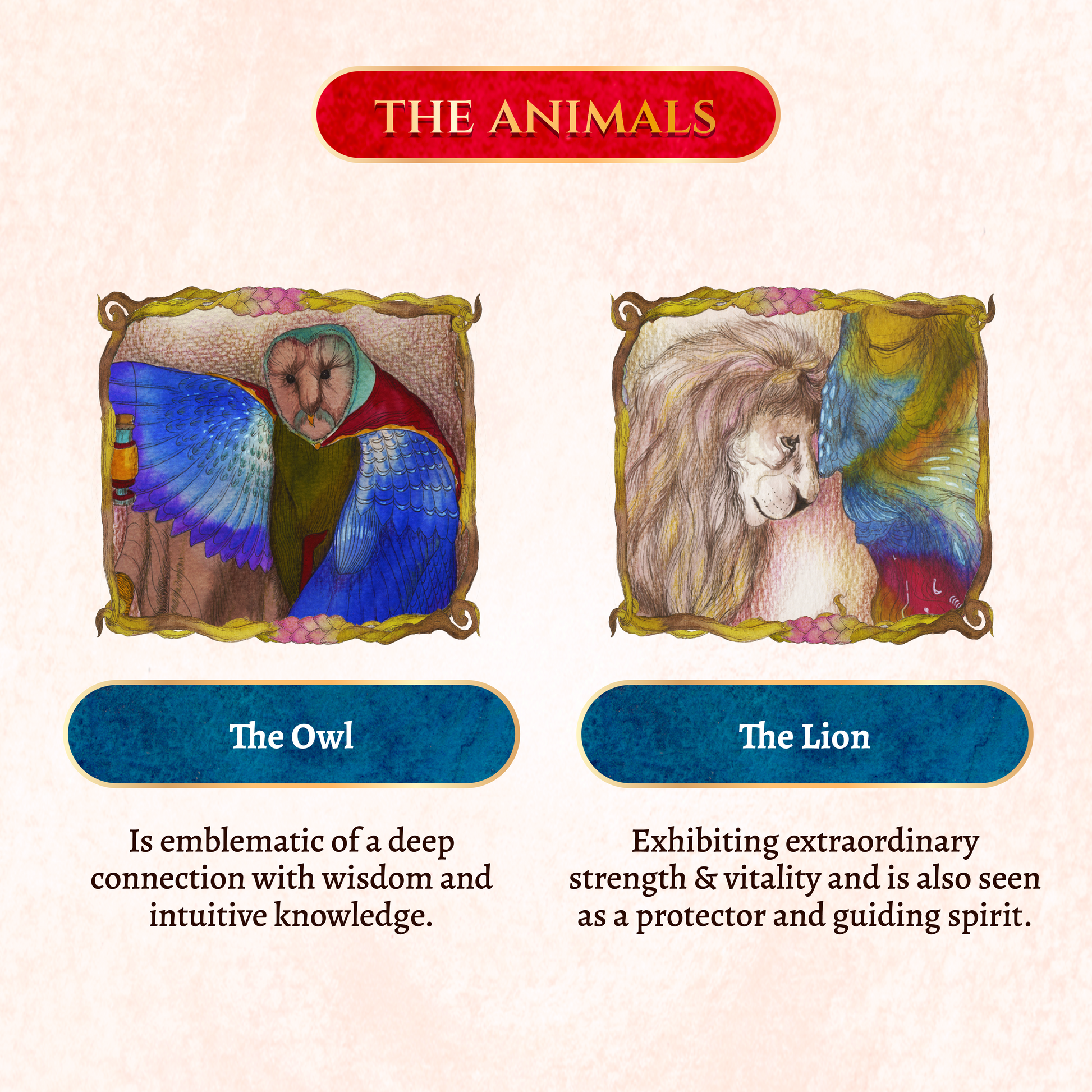 Anima Tarot de Marseille Tarot Deck